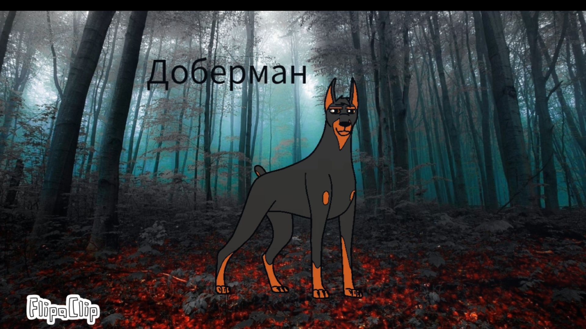 Породы собак и кошек.@@