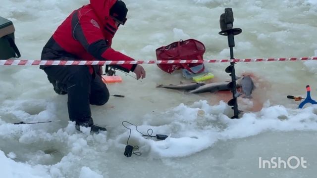 1000138115.mp4 смотреть онлайн