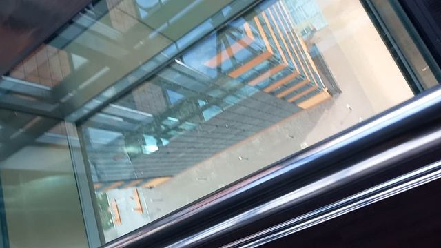 08.08.2024г г. Новосибирск Академгородок ул. Николаева 12 Технопарк смотреть онлайн