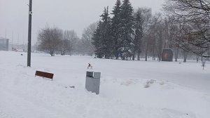 Главная площадка фестиваля"Зима в Москве" Дворец пионеров на улице Косыгина. Яркие большие снигири!