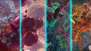 Что происходит при раке?