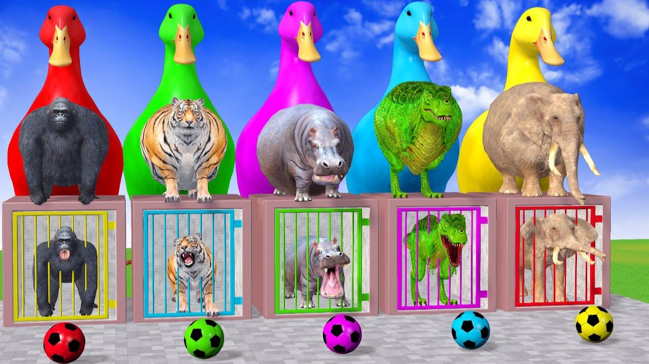 Веселые игры с слоном, гориллой, бегемотом, тигром - 3D игра с животными - Забавные 3D животные
