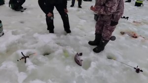 10.01.26 г. РК Волна.