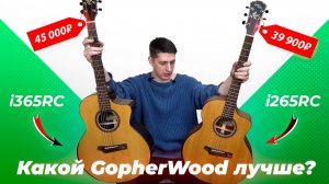 Какая гитара лучше? Сравнение GopherWood: i265RC vs i365RC