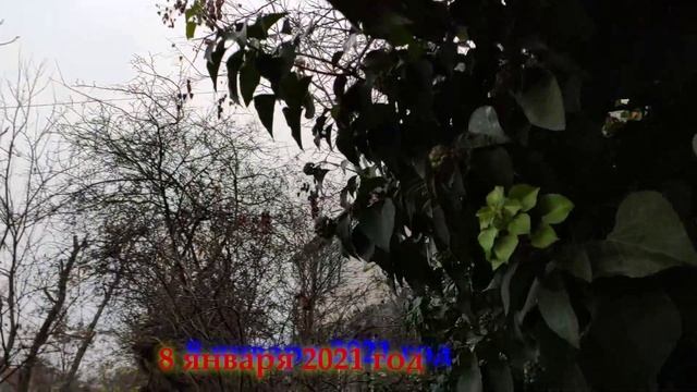 Один из дней города Евпатории | 8 января 2021 года | #Крым #ХАНБАТОН #XAH6ATOH #Евпатория смотреть онлайн