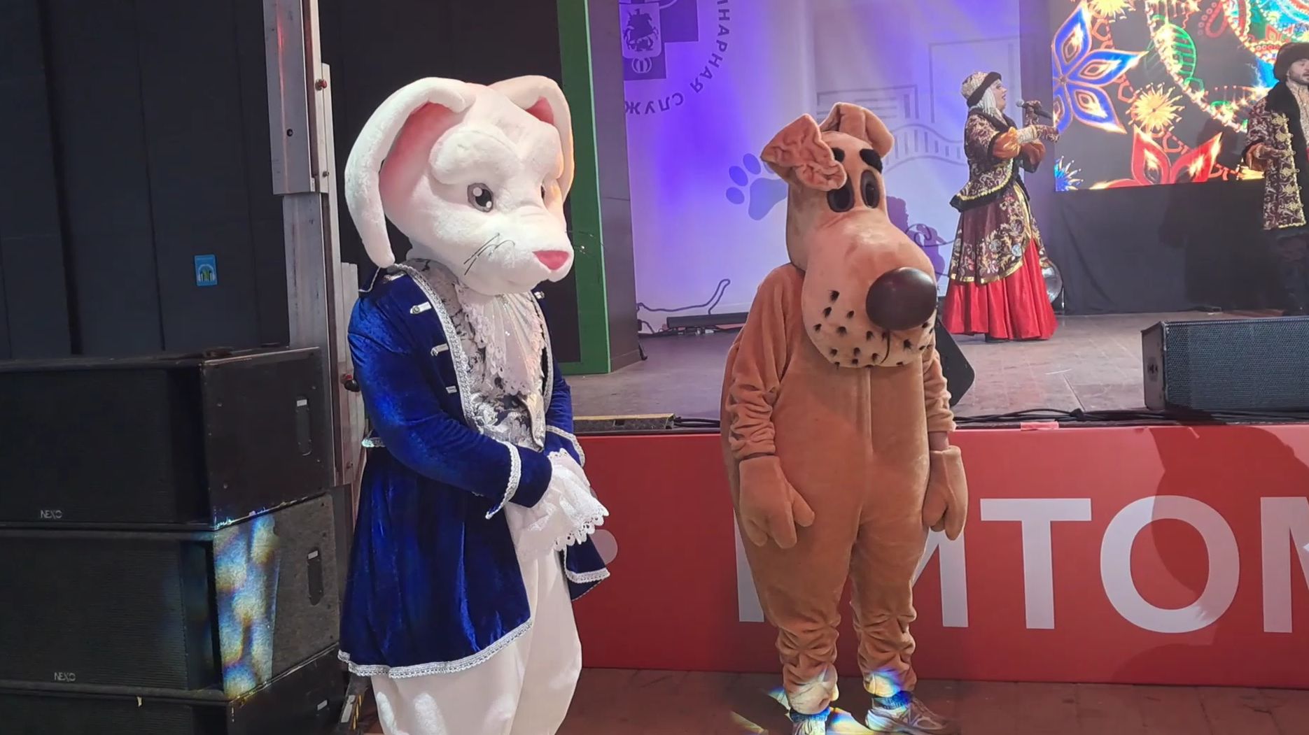 Празднование масленицы в Бабушкинском парке. Видео от 2 марта 2025 года. Первая часть.