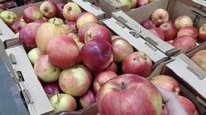 СВЕТОФОР _ Что купить а что не стоит❗Что дешевле что не очень