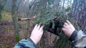 Охота на куницу. Обход одного из путиков(Будни охотника и рыбака)