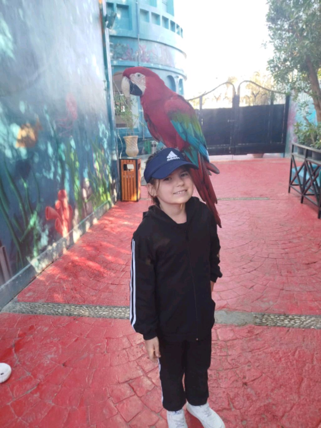 яяя́яяяяяяя смотреть онлайн