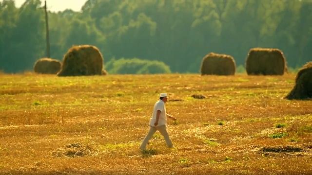 Сваты 7 сезон смотреть онлайн