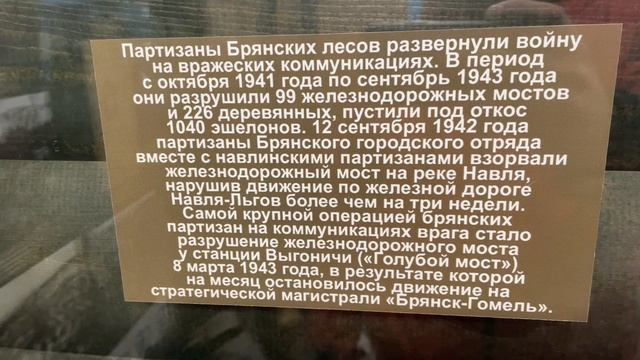 Прогулка по городу Брянск смотреть онлайн