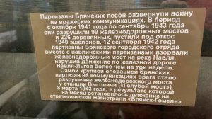 Прогулка по городу Брянск