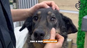 История чудесной Влады!