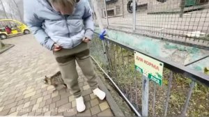 Реанимация для СК Крыма и служебная проверка требуется? Смерть в парке Тайган.