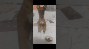 кармёшка Рейзара
