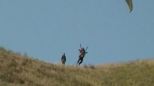 Затейники 2010г