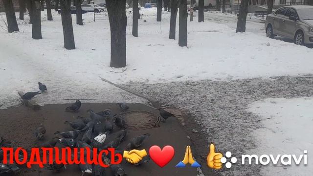 🚀🖋️ УРА СВЕЖИЙ ВОЗДУХ ❄️ УТРЕННЯЯ ПРОГУЛКА 💃🔥МОИ БУДНИ 🚀🖋️ смотреть онлайн