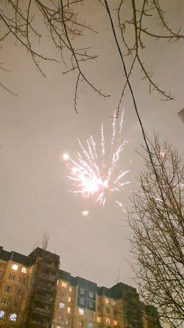 с Новым Годом!  #olliwonder