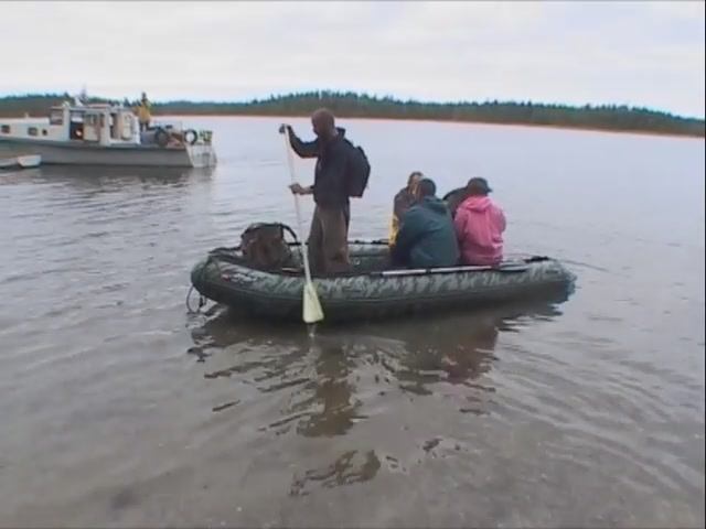 ©  "Чесма. Вместе с Хипой едем к Пирамиде"  2004 г