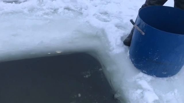 утренние зарыбление форели смотреть онлайн