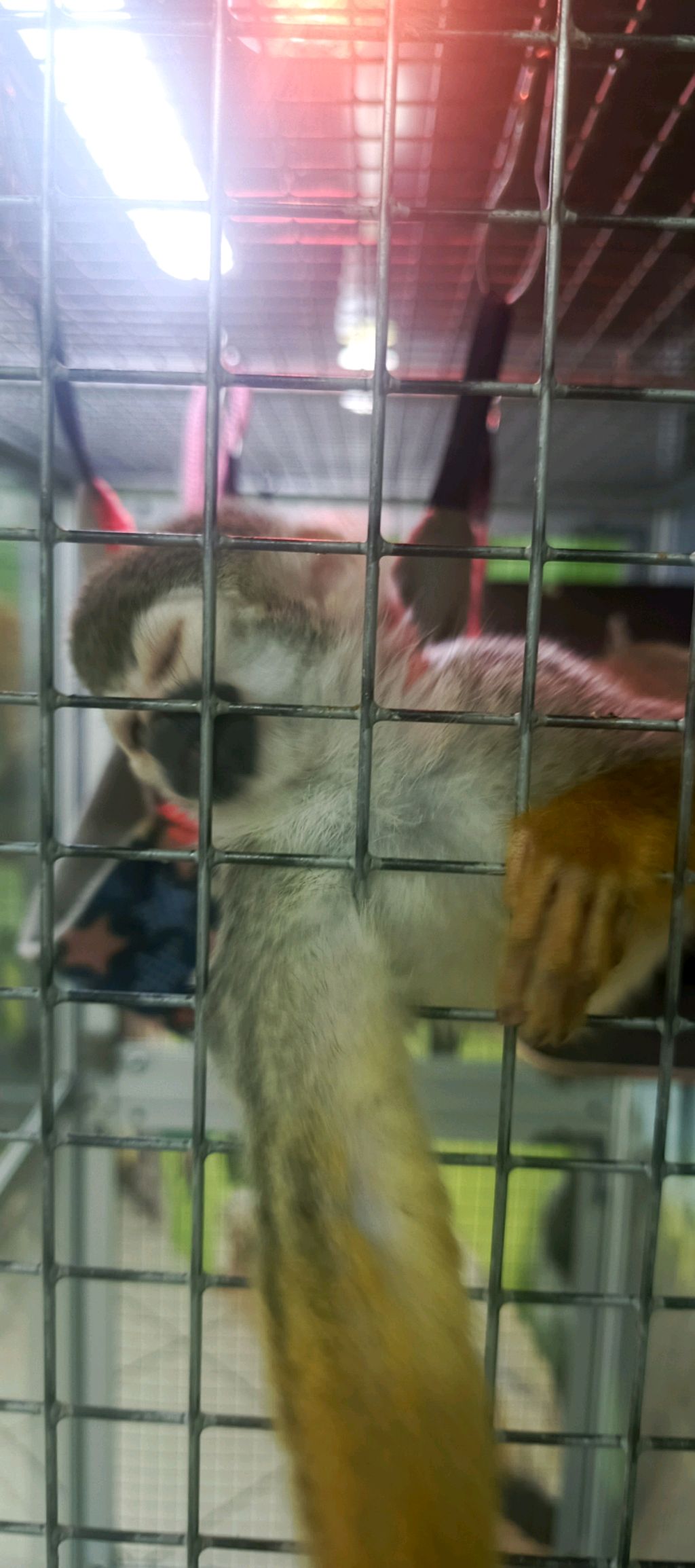 отвечаю на вопросы от подписчиков. смотреть онлайн