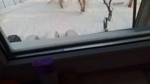 обзор нового домика/знакомство с собачками/
спасибо Шоколадки 👾👾👾