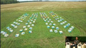 Как создать пасеку на 2000 семей: от идеи до первых миллионов