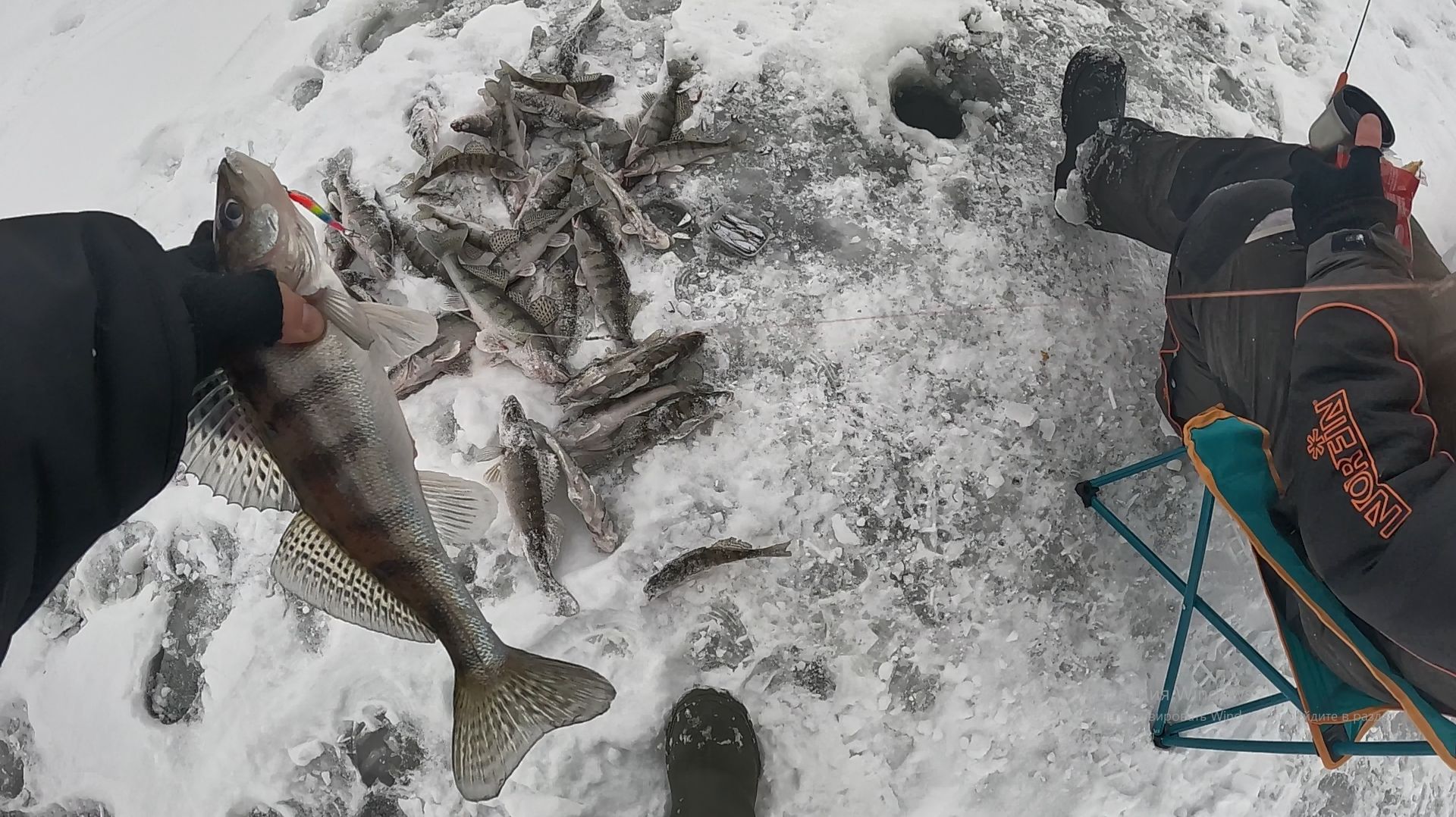 БЕРШ ЗИМОЙ на БЛЕСНУ смотреть онлайн