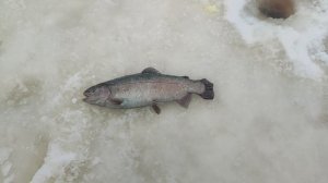 video5408826944928124712