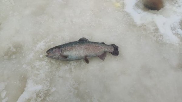 video5408826944928124712