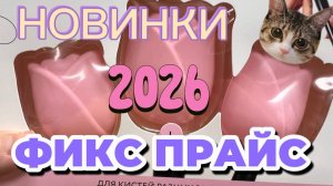 ✅ФИКС ПРАЙС 2026💘ЗАБИРАЮ БЕЗ РАЗРЕШЕНИЯ🤫СБИВАЮТ ТЕЛЕЖКАМИ🤭Новинки Чижик и Fix price Январь 2026🙄