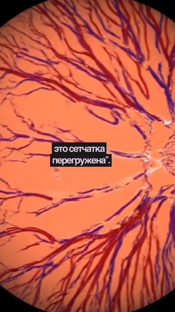 Как Маша спасла зрение за рабочим столом смотреть онлайн