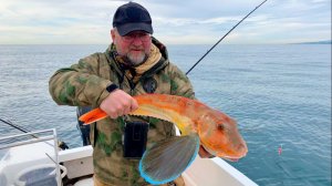 Невероятный морской петух от 06.01.2026. Осторожно шансон.