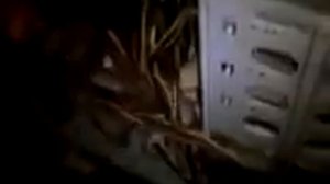 Хотел подключить старый жесткий диск....(240p)