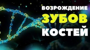 ВОССТАНОВЛЕНИЕ И РЕГЕНЕРАЦИЯ  ЗУБОВ, КОСТЕЙ,СУСТАВОВ с Альфа волнами и Поющими Тибетскими Чашами