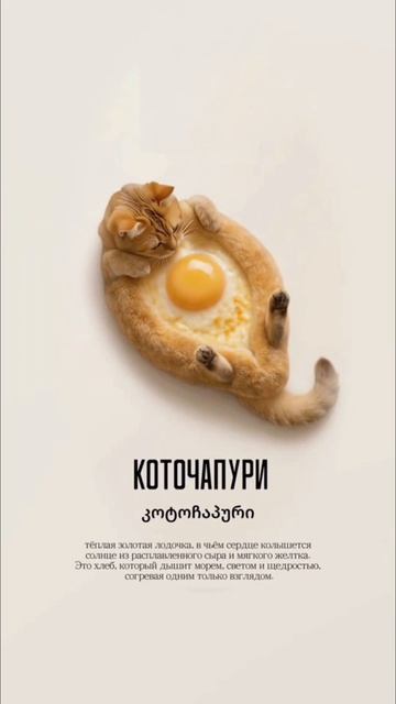 Это просто гениально. Лучше блюдо современности. 😎🐱 #Грузия #юмор #шефстепанов смотреть онлайн