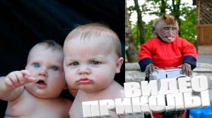 ВИДЕОПРИКОЛЫ \ КРУТЫЕ ПРИКОЛЫ 2025 \ НОВЫЕ ПРИКОЛЫ \ СМЕШНЫЕ ПРИКОЛЫ 2025 ЮМОР