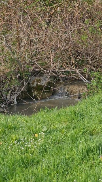 Весна  в с.Варваровка