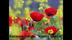 Евгений Носов "Живое пламя"