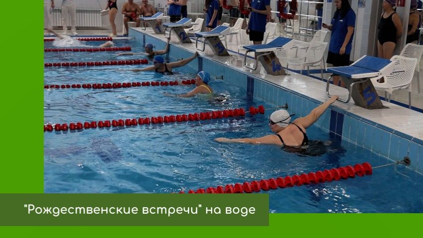 Турнир по плаванию среди любителей смотреть онлайн