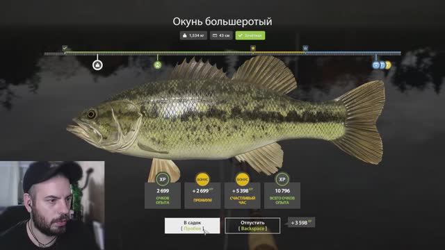 ✅  Выживалити в деревне, делаем квесты ✅ #russianfishing4