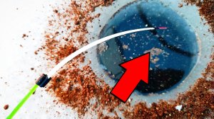 УЖАС ЧТО ПРОИСХОДИТ! Выкормил КРУПНОЕ на береговом СВАЛЕ и УЕХАЛ за СУДАКОМ! Рыбалка 2026