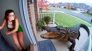 105 моментов, в которые ВЫ НЕ ПОВЕРИТЕ, если бы их не сняли на камеру! 😱