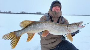 ЗИМНЯЯ РЫБАЛКА НА ТАЁЖНОМ ОЗЕРЕ! В сибирскую глушь с Дмитрием Елисеевым/Крупные щука и окунь на вибы