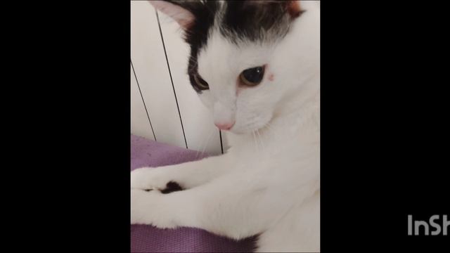 ИдЕаЛьНо🤌 смотреть онлайн