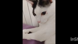 ИдЕаЛьНо🤌