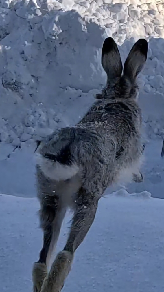 Патрон смотреть онлайн