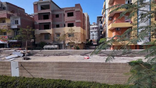 Мы были в шоке от REGINA RESORT в Хургаде! 🌊 Честный обзор 2025 смотреть онлайн