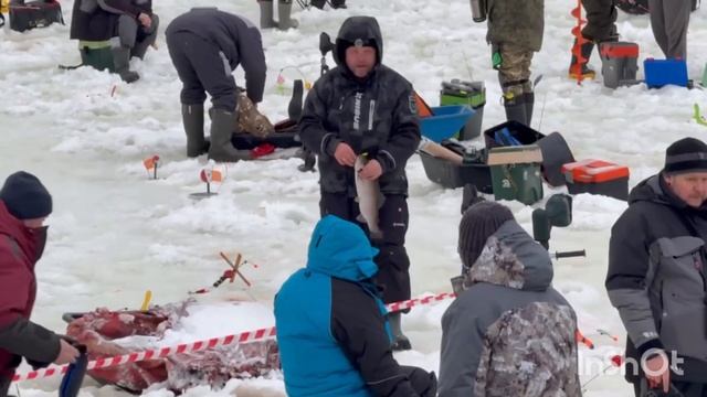 1000138133.mp4 смотреть онлайн