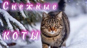 1 марта международный день кошек. Снежные коты, песни про котов